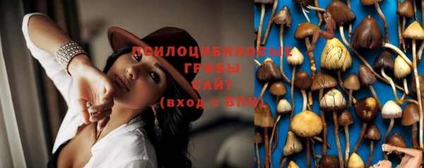 спайс Михайлов