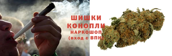 спайс Михайлов