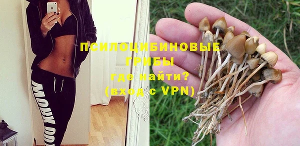 мяу мяу мука Михайловск