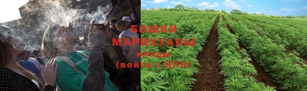 мяу мяу мука Михайловск